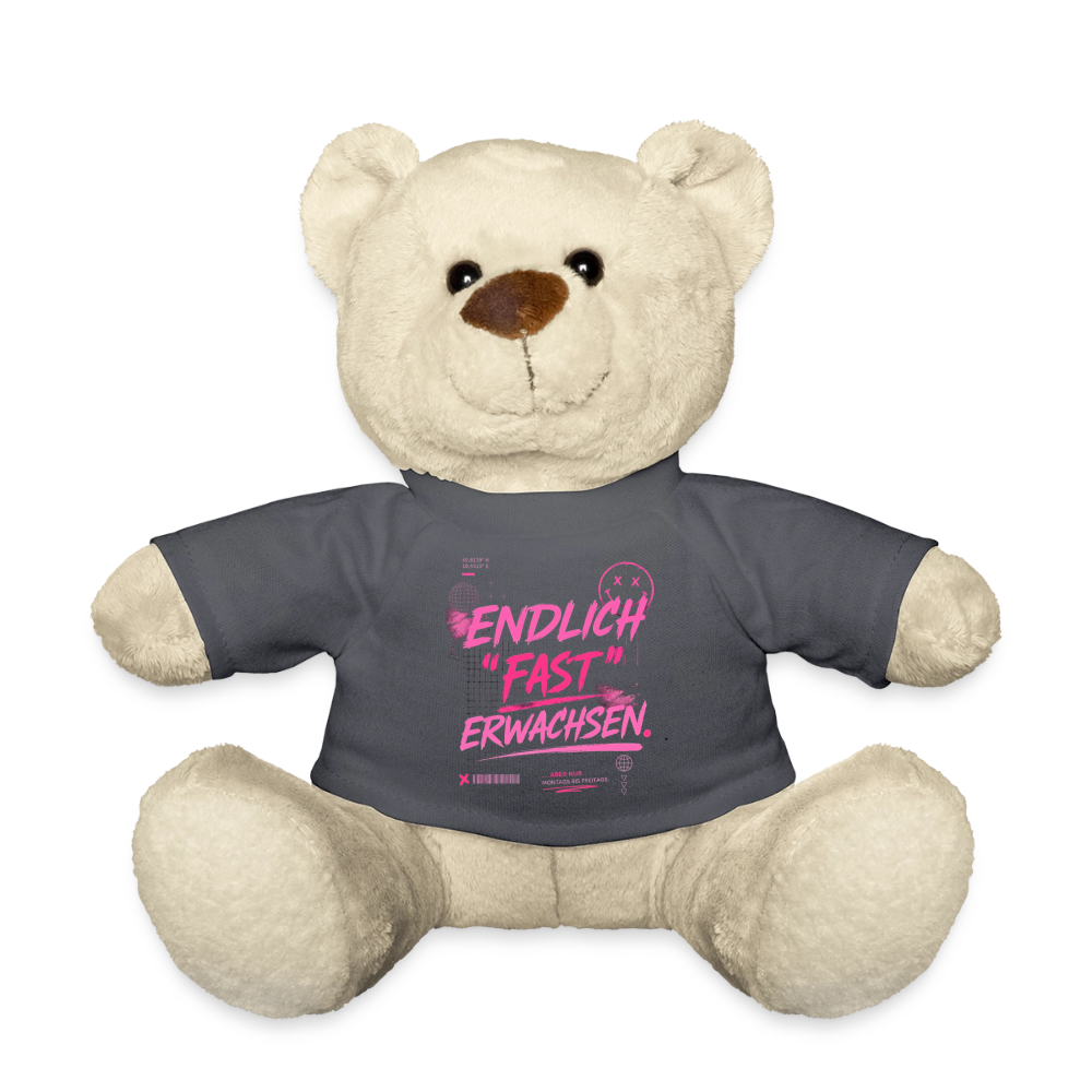 Teddy mit Statement "fast Erwachsen pink" - Anthrazit